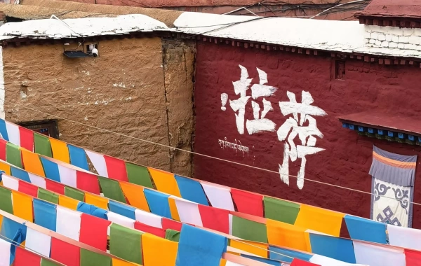 اليوم 1: لاسا