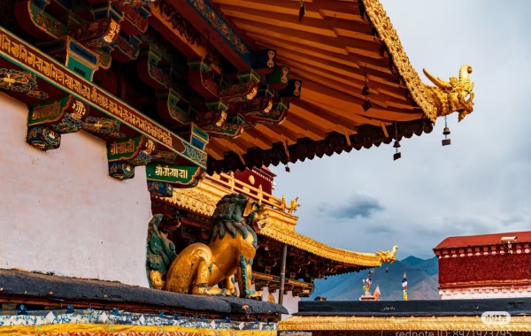 اليوم الأول: ليزا آرفال