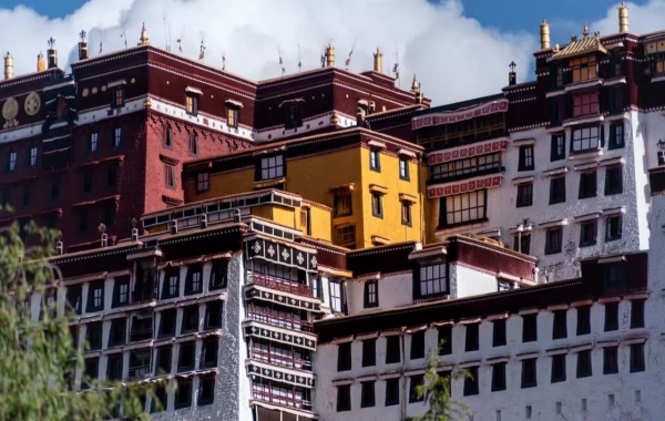 اليوم الأول: ليزا آرفال