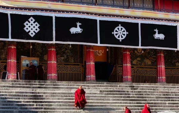 اليوم 2: لاسا ديغور