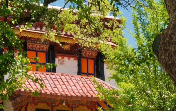 اليوم 2: لاسا