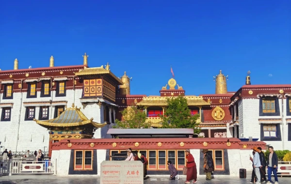 اليوم 2: لاسا