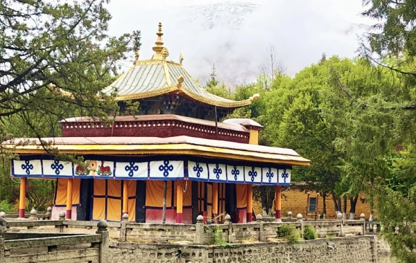 اليوم 2: لاسا