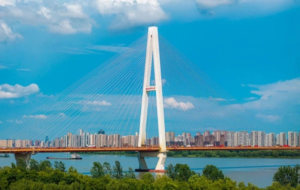 اليوم 3: شنغهاي