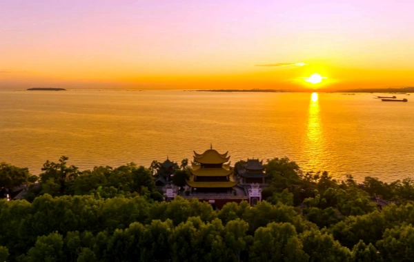 اليوم السادس: الرئيس رقم 6