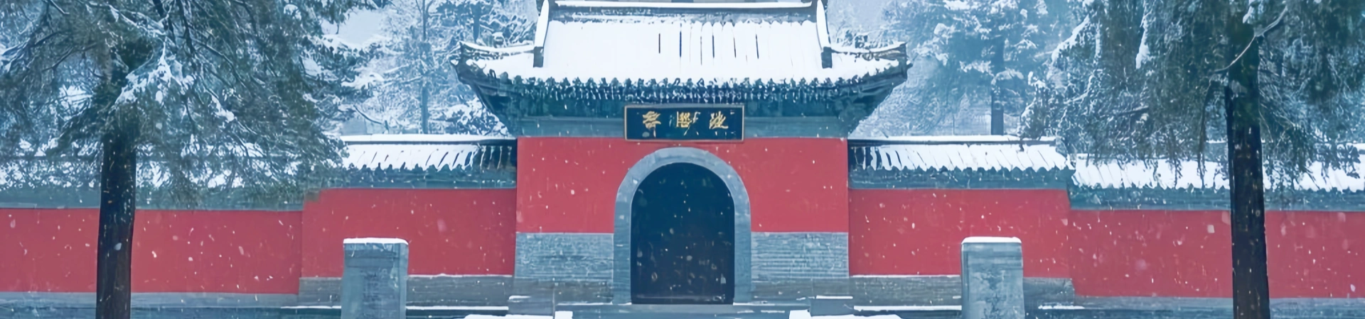 1 giorno Grotte di Longmen & Shaolin Tour culturale del Tempio