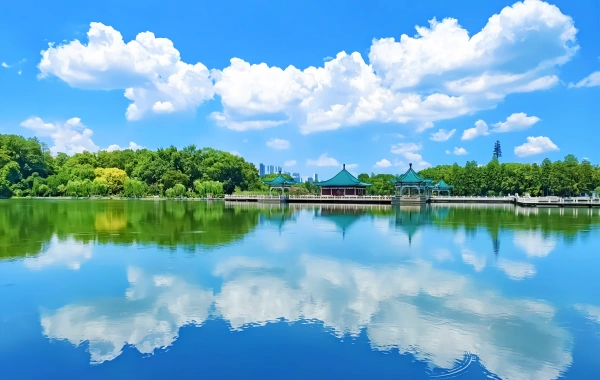 اليوم الخامس: 