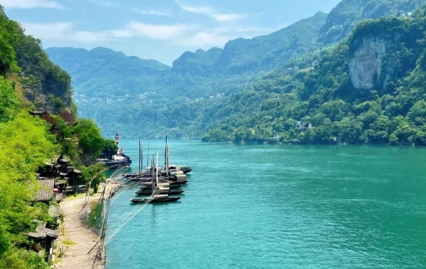 اليوم الثامن: الرئيس رقم 6