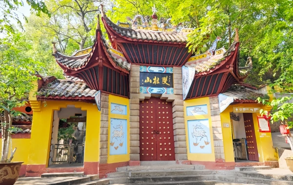 اليوم 9: الرئيس رقم 6