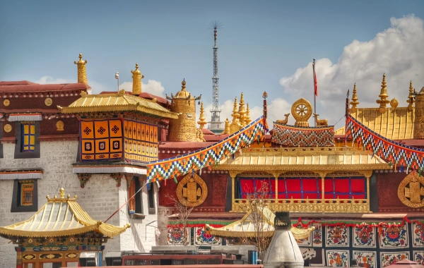 اليوم 1: لاسا