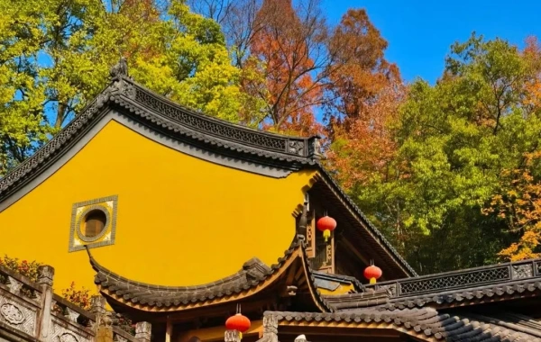 اليوم الثامن: