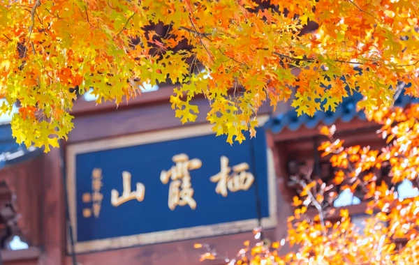 Day 1: Nanjing Arrival