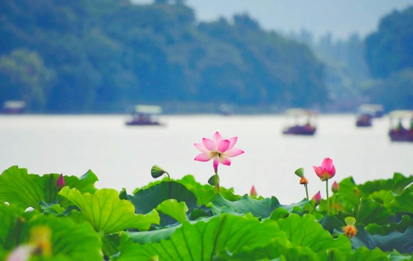 Shanghai Shangrao Hangzhou 5-Days Tour