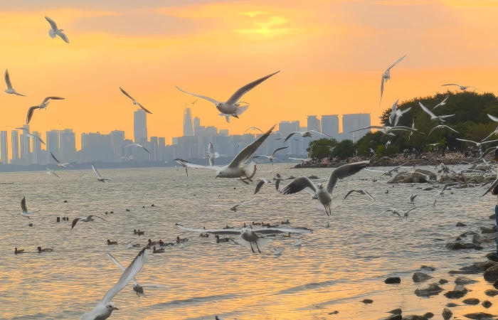 Shenzhen Bay Park