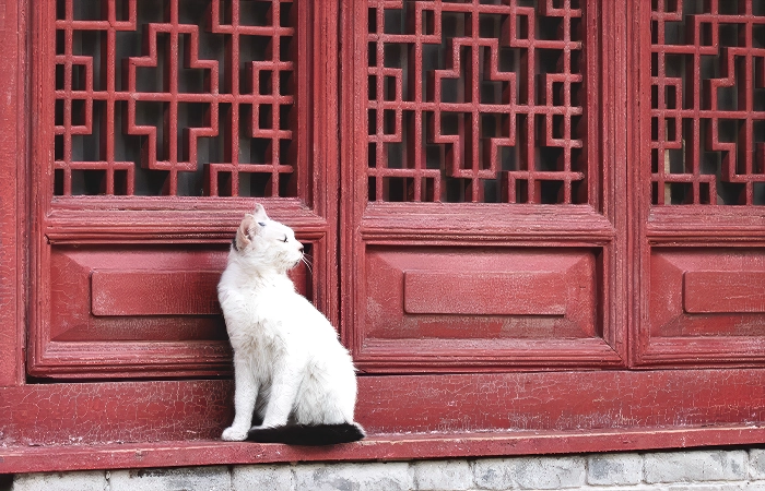 daxingshan temple