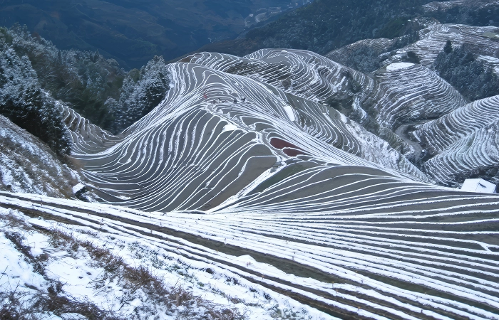longji rice terraces best time to visit