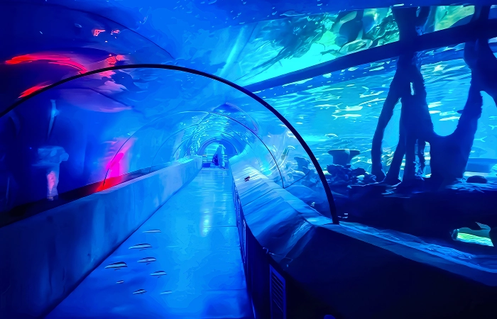 beijing aquarium