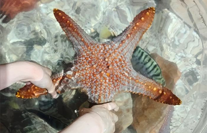 beijing aquarium
